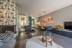Goudzoeker 21-9.jpg